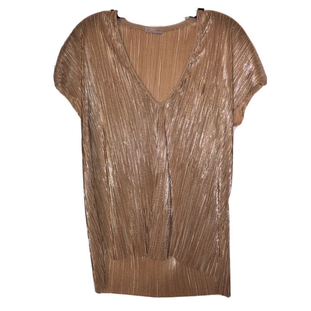Zara metallic top